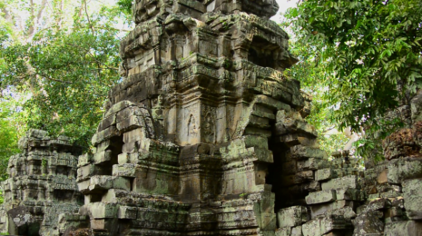 Ancient ruins of the Sindusa jungle